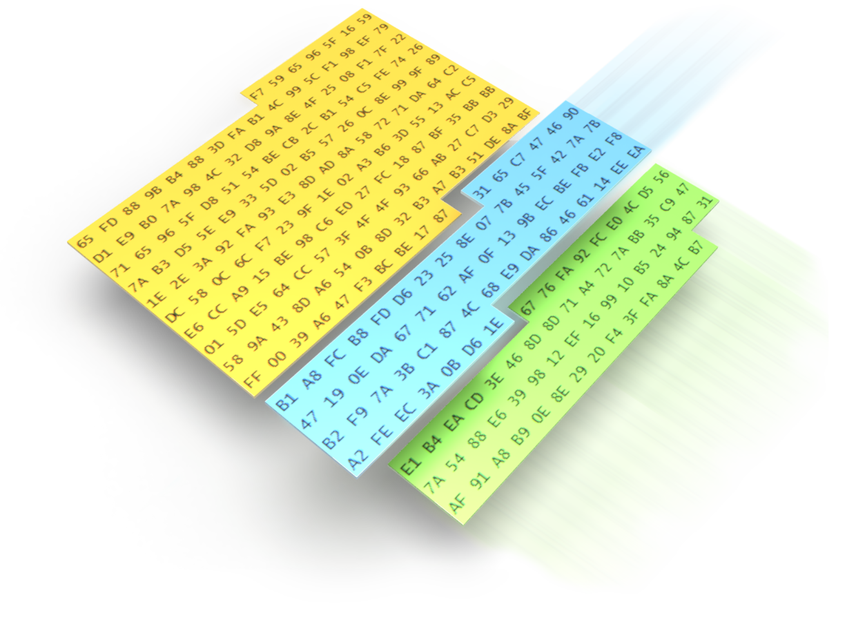 XAMN Pro - MSAB