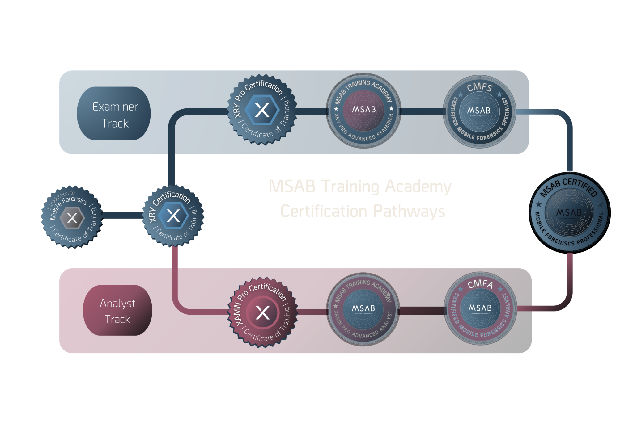 Mobile Forensics Specialist Certification - MSAB